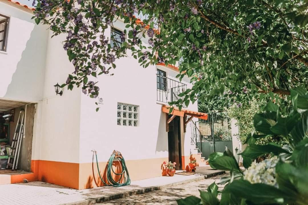 Casa Da Milharica Villa Figueiro Dos Vinhos Eksteriør billede