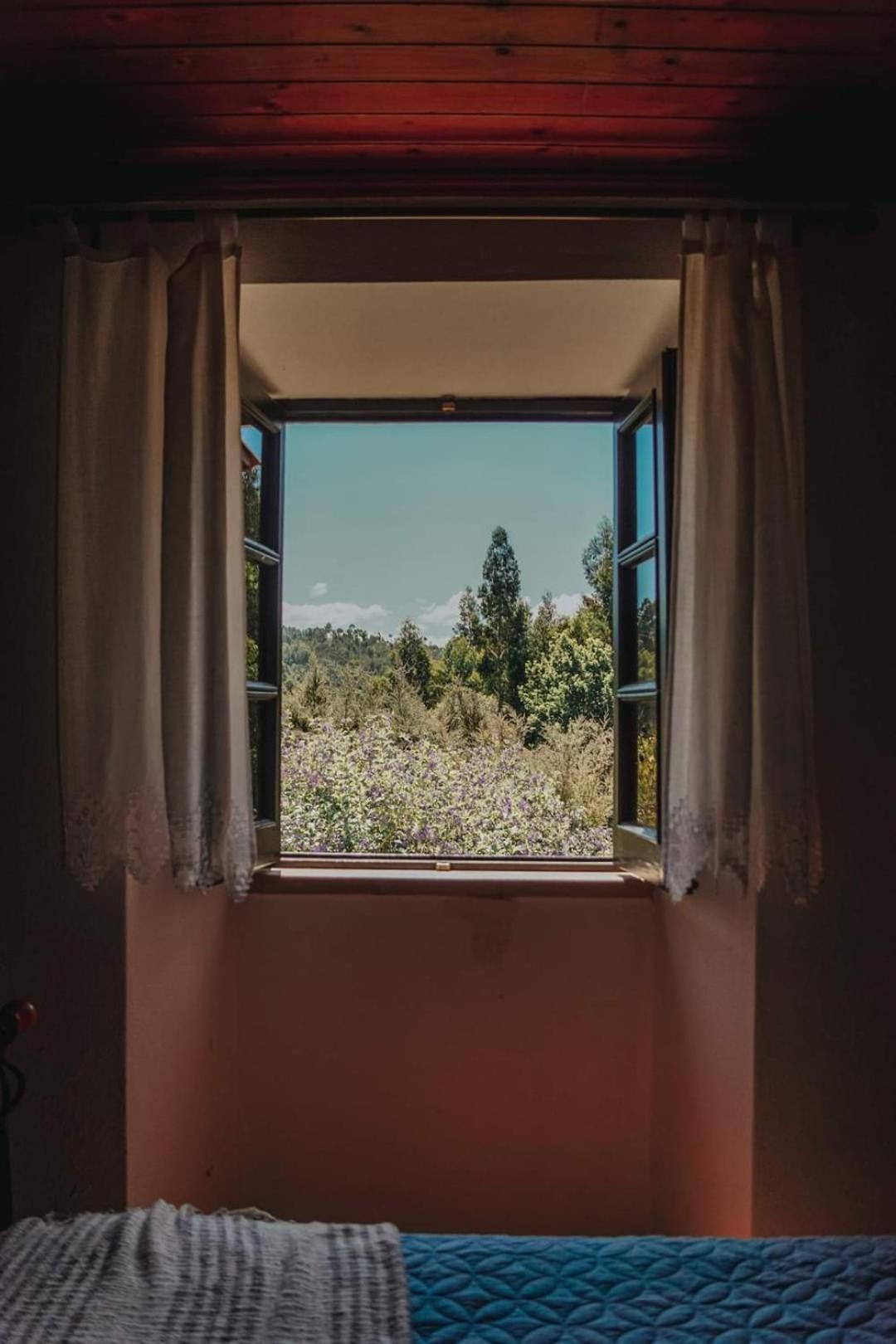 Casa Da Milharica Villa Figueiro Dos Vinhos Eksteriør billede